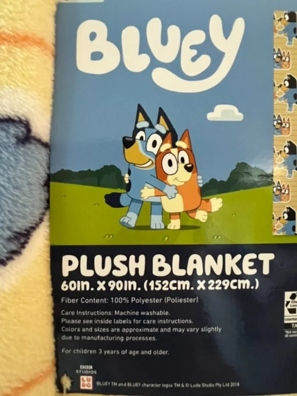 BLUEY OVERSIZED THROW
